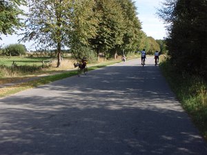 RTF Barsbuettel 232